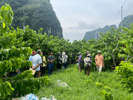 Kinh tế - Chính trị
