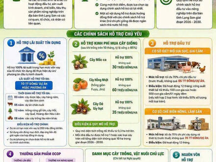Chính sách mới có hiệu lực