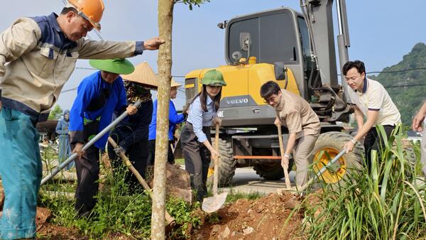 Xã Cai Kinh tổ chức trồng cây bóng mát tại tuyến đường DX13