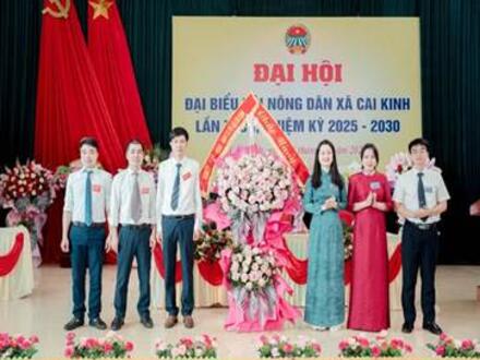 Xây dựng đảng