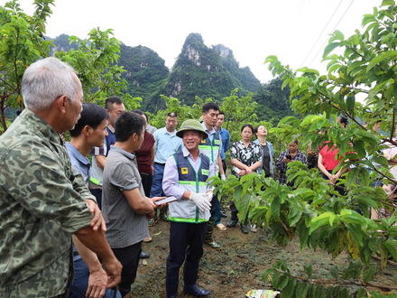 Kinh tế - Chính trị