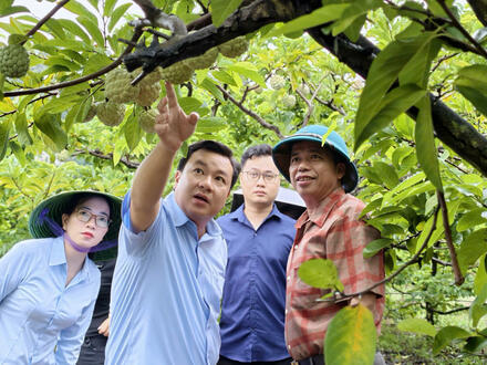 Kinh tế - Chính trị
