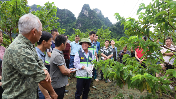 Tổ chức hướng dẫn khôi phục sản xuất nông nghiệp tại xã Cai Kinh, tỉnh Lạng Sơn