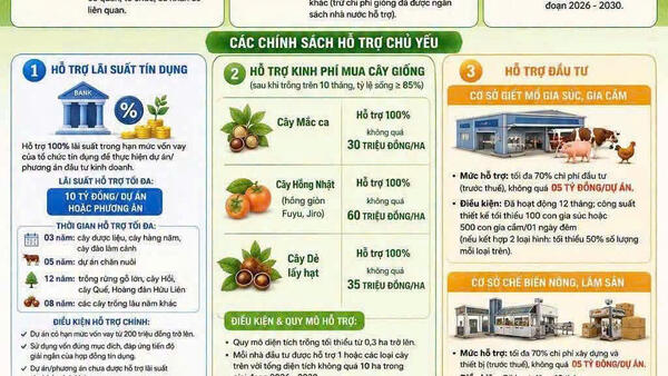 THÔNG BÁO CÁC CHÍNH SÁCH HỖ TRỢ PHÁT TRIỂN NÔNG NGHIỆP NĂM 2026