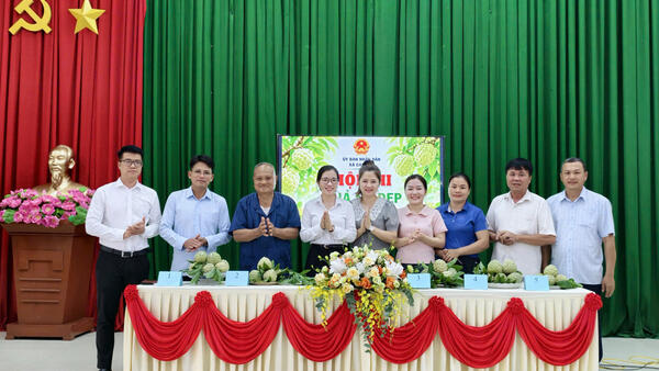 Chấm điểm Hội thi “Quả na đẹp xã Cai Kinh năm 2026”
