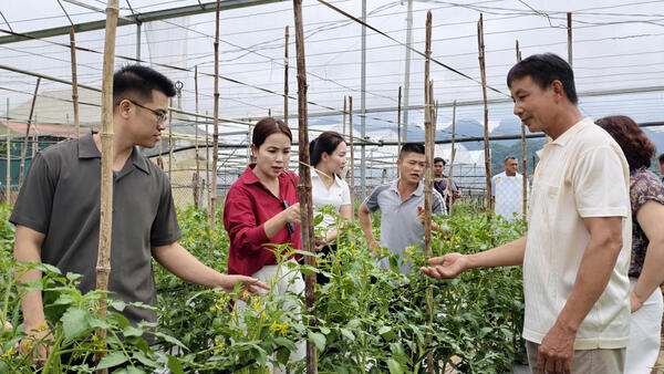 Đoàn công tác xã Cai Kinh tham quan, học tập, trao đổi kinh nghiệm phát triển du lịch gắn với nông nghiệp tại phường Mộc Sơn, tỉnh Sơn La