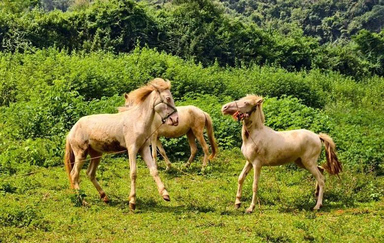 Quân dân đồng lòng phá đá mở đường vào khu dân cư 3 không tại Lạng Sơn- Ảnh 7.